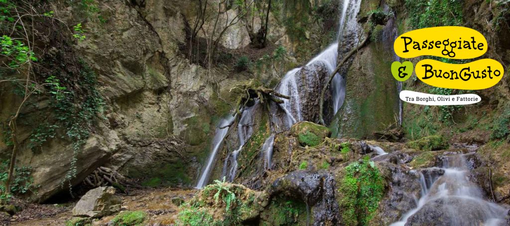 Passeggiate & Buon Gusto – Sabato 3 Luglio 2021, Foligno (Pg) Frantoio Tega