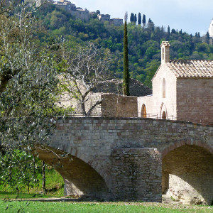 1601_bosco-di-san-francesco