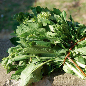 broccoletti del trasimeno1