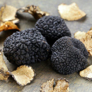 tartufo nero1