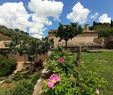 bosco san francesco 2