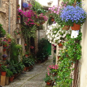 spello