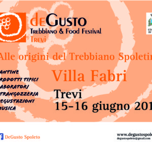 Degusto Banner 300x250 2019 trevi (1)