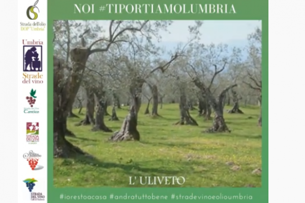 Schermata 2020-04-09 alle 14.34.29