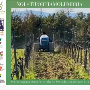 Schermata 2020-04-13 alle 15.15.16