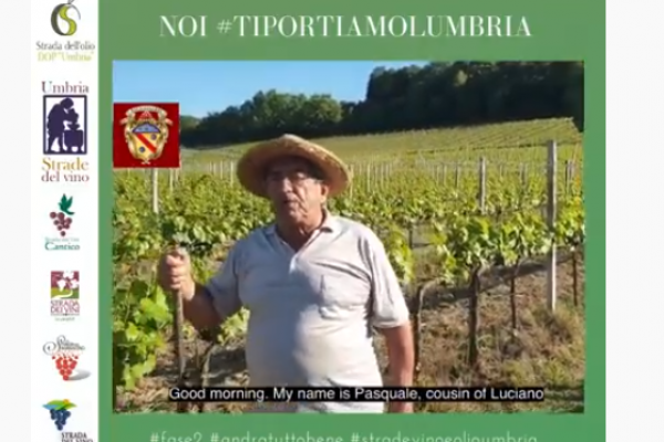 Schermata 2020-05-19 alle 10.15.30