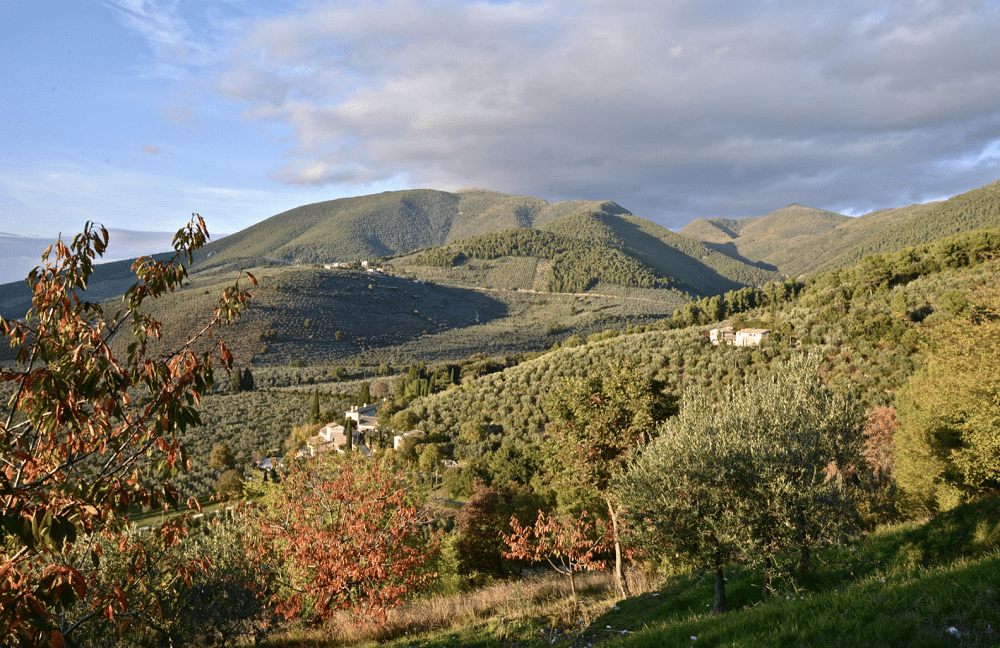 Historic-Artistic heritage: THE OIL TOWERS - Strada Olio Dop Umbria