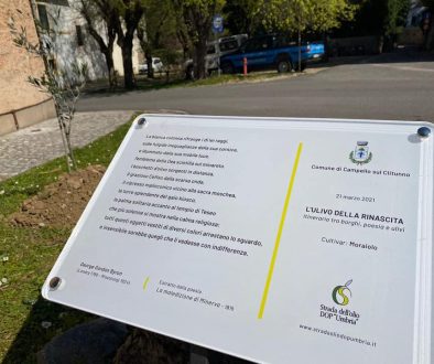 Ulivi della Rinascita_Targhe con Poemi