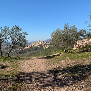 15/04/22 Trekking a piedi lungo la Fascia Olivata, in occasione del Picnic a Trevi