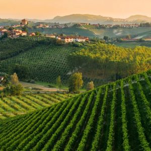 Barolo_Piemonte Barolo_Piemonte