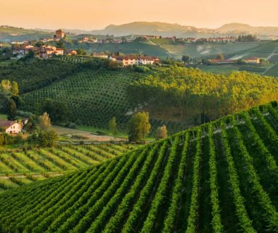 Barolo_Piemonte