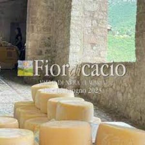 Fior di Cacio