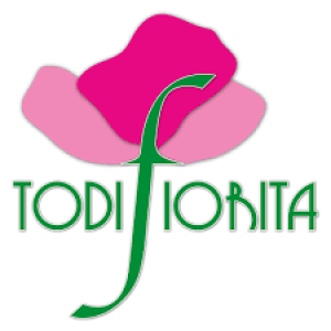 todi fiorita