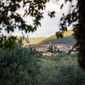 Montecchio (Tr) ospita la 5ª Edizione di ‘Passeggiate & Buon Gusto tra borghi, ulivi e fattorie’ alla scoperta degli oli e.v.o.