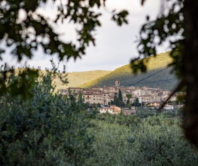 Montecchio (Tr) ospita la 5ª Edizione di ‘Passeggiate & Buon Gusto tra borghi, ulivi e fattorie’ alla scoperta degli oli e.v.o.