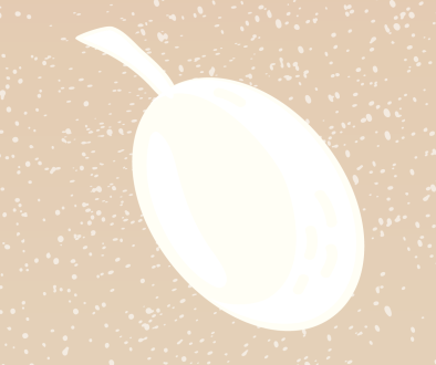 326333331_1422709421596444_1971414704788422814_n