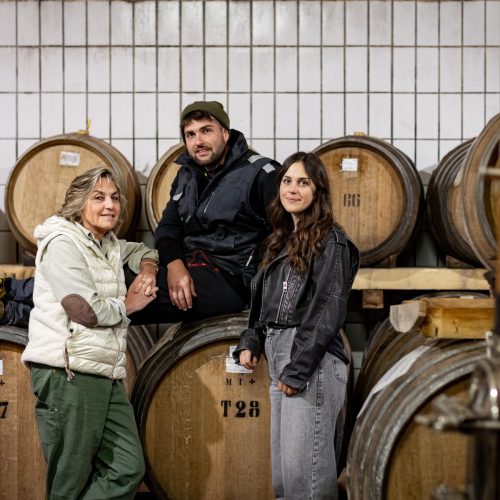 69R6PP8810@PPMETELLI