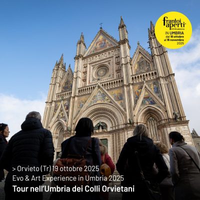 art-experience-07