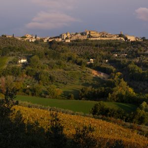 MONTEFALCO (PG)