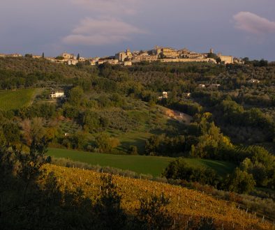 MONTEFALCO (PG)