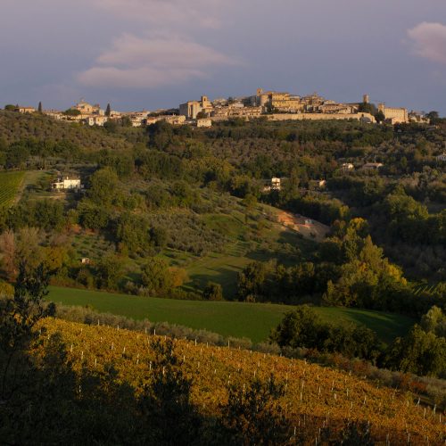 MONTEFALCO (PG)