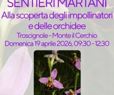 Locandina - Impollinatori e orchidee - 1
