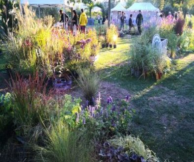 Festa_delle_salvie_2024_facebook_1p