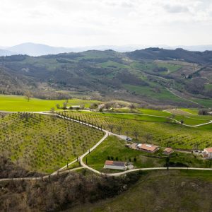 GUBBIO (PG) CONSORZIO PER LA BIODIVERSITA’ DELL’OLIO E DELL’OLIVO