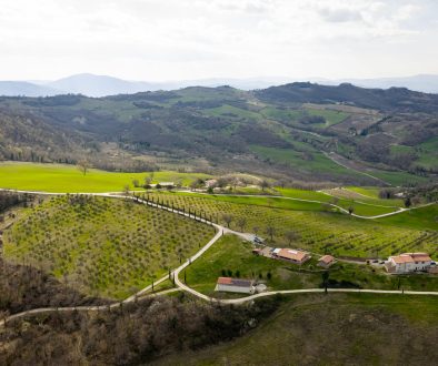 GUBBIO (PG) CONSORZIO PER LA BIODIVERSITA’ DELL’OLIO E DELL’OLIVO