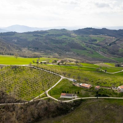 GUBBIO (PG) CONSORZIO PER LA BIODIVERSITA’ DELL’OLIO E DELL’OLIVO