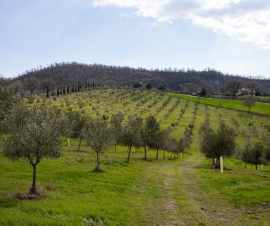Azienda Agricola Silvano Di Murro
